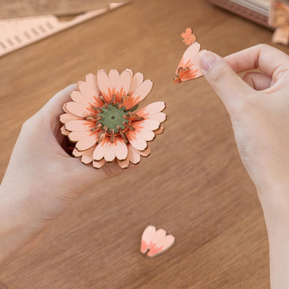 Wooden Blooming Book Kit