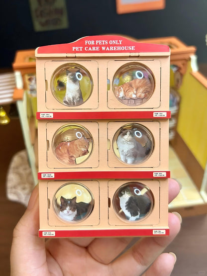 Fluffy Friends Store Kit
